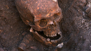 UK 'princes in the tower' murder probe clears Richard III