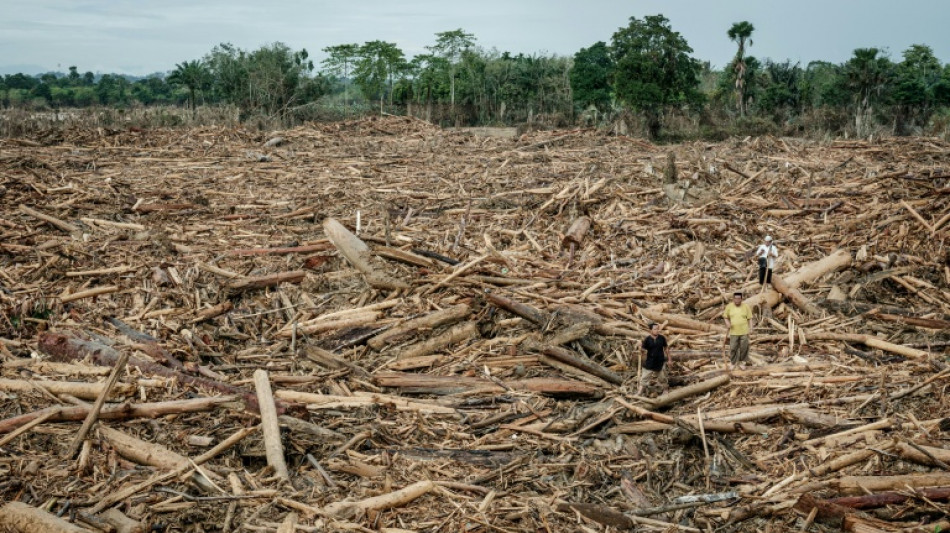 Indonesia to revoke 22 forestry permits after deadly floods