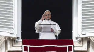 Il Papa, 'costernato per notizie da Medio Oriente, tacciano le armi'