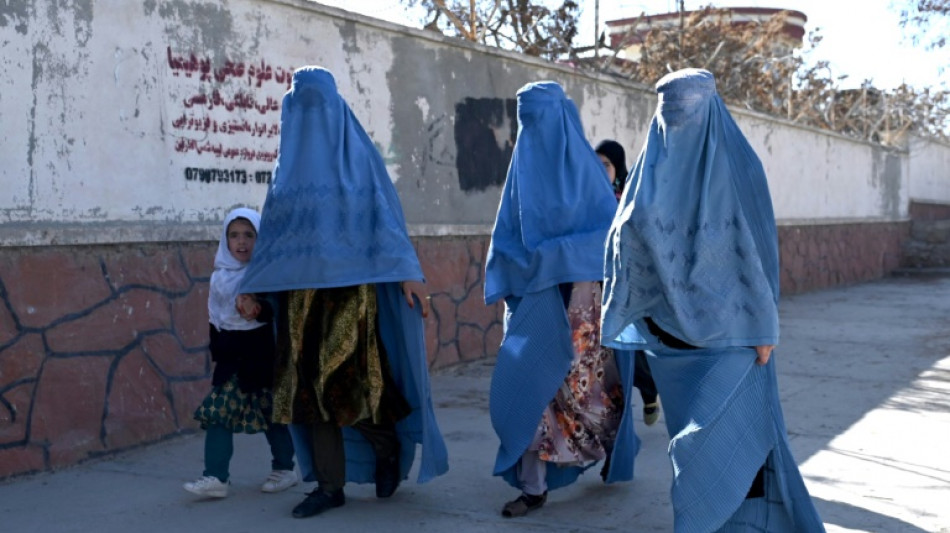 EU verurteilt Arbeitsverbot f&uuml;r Frauen in NGOs in Afghanistan