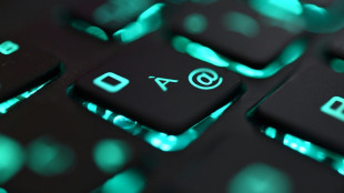 IT-Sicherheitsbeh&ouml;rde warnt vor "besorgniserregender" Bedrohungslage