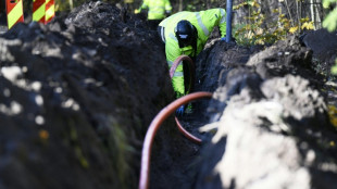 Finlande: les c&acirc;bles terrestres rompus de fa&ccedil;on accidentelle