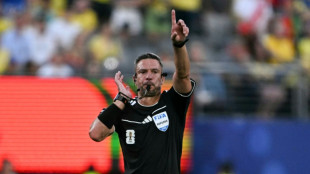 &Aacute;rbitro esloveno Slavko Vincic apitar&aacute; final da Copa do Mundo entre Espanha e Argentina