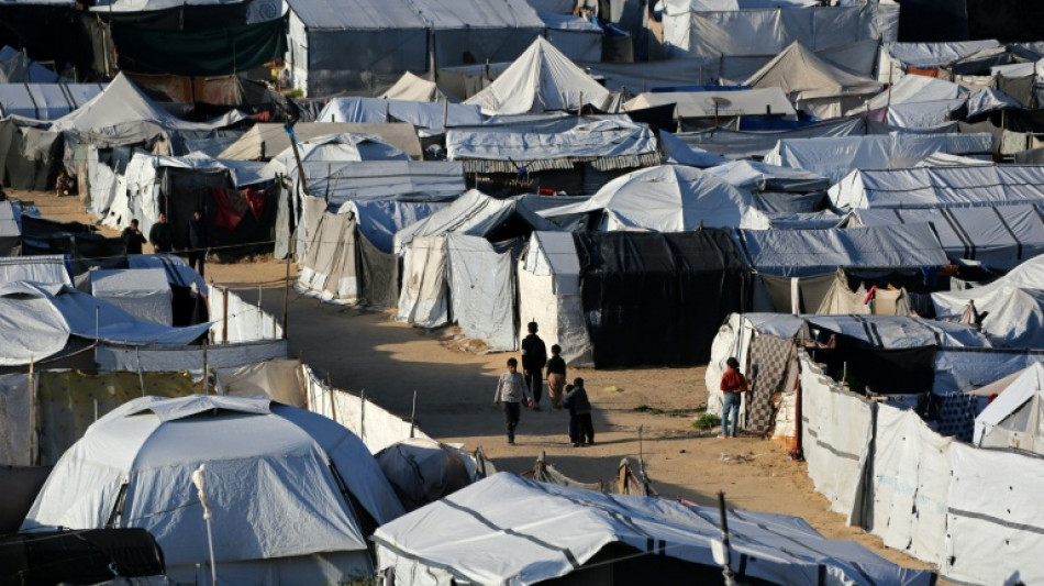 Ratas, pulgas y par&aacute;sitos proliferan en los campos de desplazados de Gaza