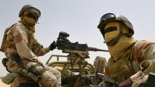 Seventeen troops killed in new Niger attack 