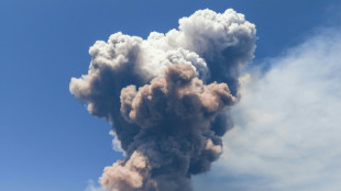 Italie: l'Etna crache un &eacute;norme panache de cendres et de gaz