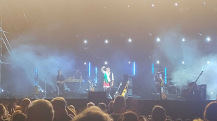 'Palestina libera, subito!', De André e la bandiera sul palco