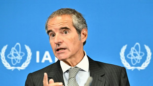 UN nuclear watchdog says hopes for inspections deal with Iran soon