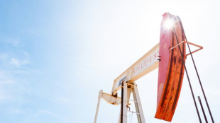 Tech-fuelled rally fizzles as oil prices rise