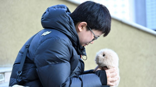 En Chine, les animaux robots dot&eacute;s d'IA consolent une jeunesse solitaire