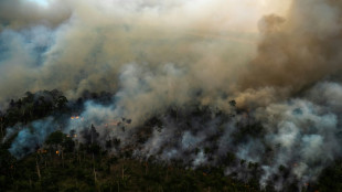 La deforestaci&oacute;n de la Amazon&iacute;a brasile&ntilde;a alcanza r&eacute;cord en enero