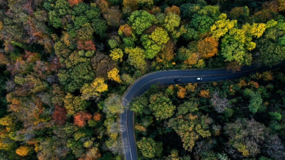 Baden-W&uuml;rttemberg: Vermisste nach einer Woche tot in Auto neben Landstra&szlig;e gefunden