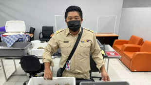 Interpol annonce le d&eacute;mant&egrave;lement d'un r&eacute;seau de trafiquants de tortues prot&eacute;g&eacute;es 