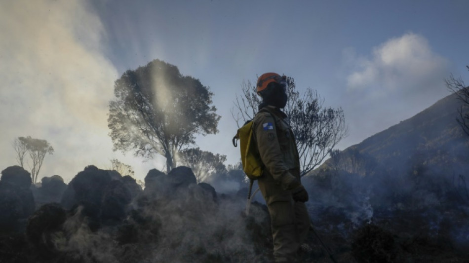 La destruction des for&ecirc;ts tropicales &agrave; un niveau record, sous l'effet des incendies