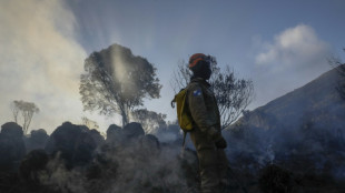 La destruction des for&ecirc;ts tropicales &agrave; un niveau record, sous l'effet des incendies