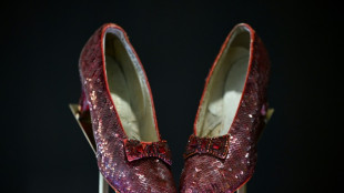 Los zapatos rojos utilizados en "El Mago de Oz" ser&aacute;n subastados en diciembre