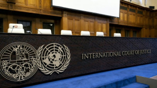 CIJ: Isra&euml;l utilise le blocage de l'aide comme "arme de guerre" &agrave; Gaza, selon le repr&eacute;sentant palestinien