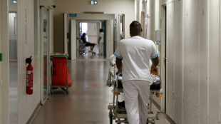 Chikungunya &agrave; La R&eacute;union: le bilan provisoire passe &agrave; neuf morts, l'&eacute;pid&eacute;mie "se stabilise" 