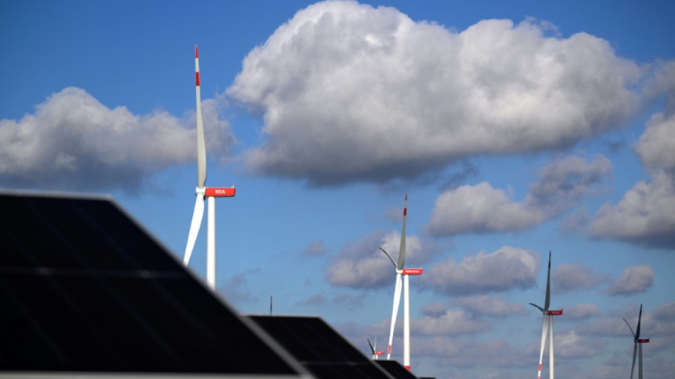 Klimaschutz im Koalitionsvertrag: Fridays for Future fordert mehr Anstrengungen