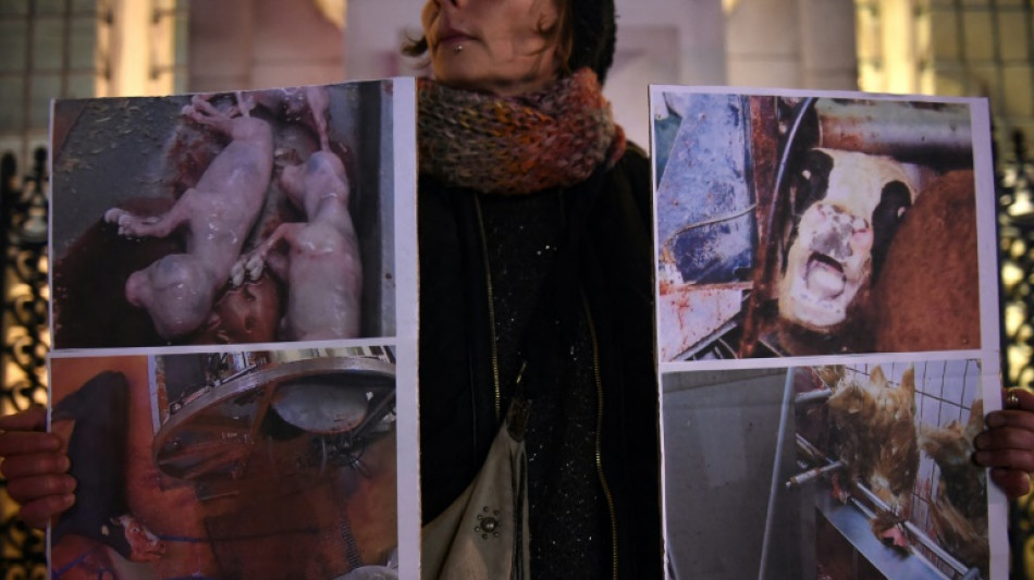 Rh&ocirc;ne: la pr&eacute;fecture suspend partiellement l'activit&eacute; d'un abattoir