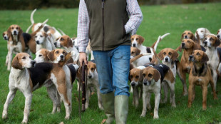 Landkreis in Baden-W&uuml;rttemberg darf h&ouml;here Steuer von Schweizer J&auml;ger verlangen