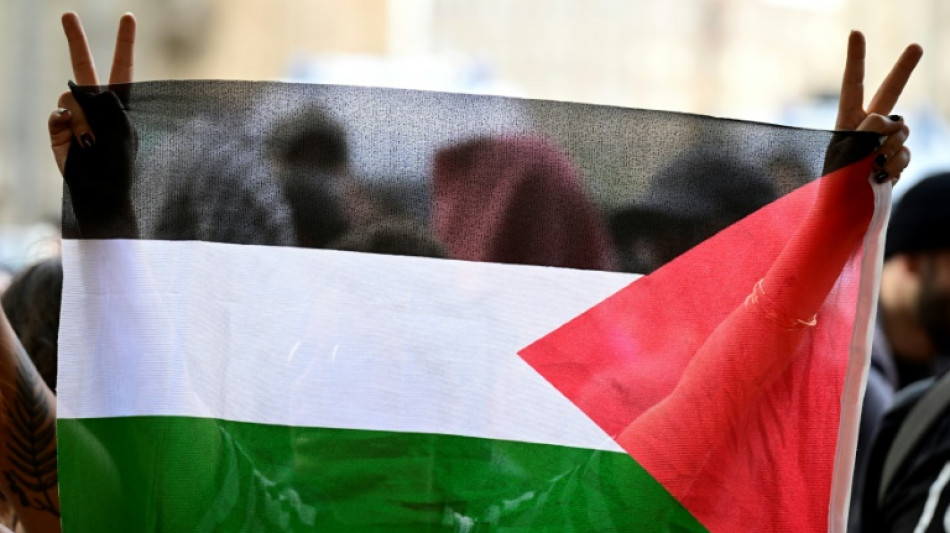 Gewalt gegen propal&auml;stinensische Demonstranten: Europarat r&uuml;gt Deutschland scharf