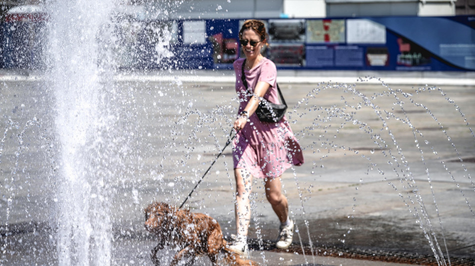 Pasqua, 2,1 milioni di italiani in viaggio con il proprio animale domestico
