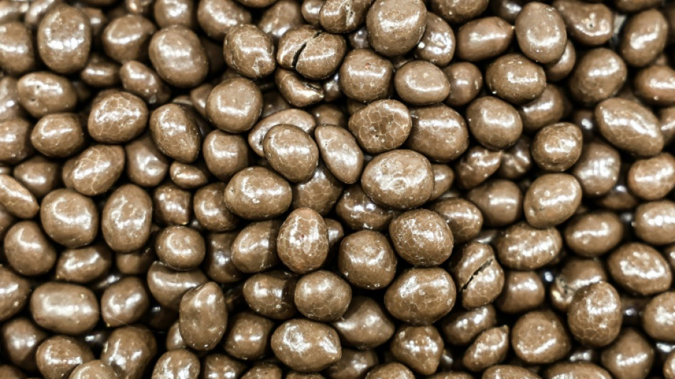 NGO links major chocolate brands to Liberia deforestation