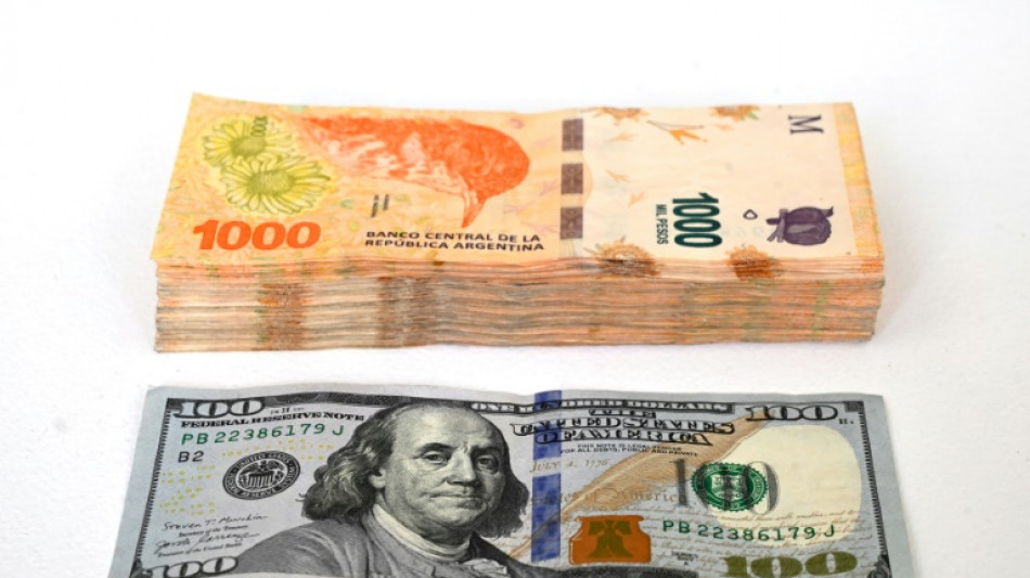 Os desafios de Milei na Argentina: choque econ&ocirc;mico sem maioria parlamentar