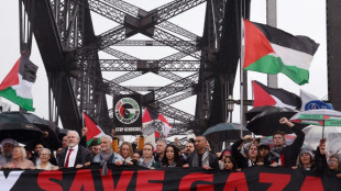 Assange parmi des dizaines de milliers de manifestants pro-palestiniens &agrave; Sydney 