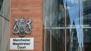 Affaire Chris Brown: un deuxi&egrave;me homme inculp&eacute; pour coups et blessures