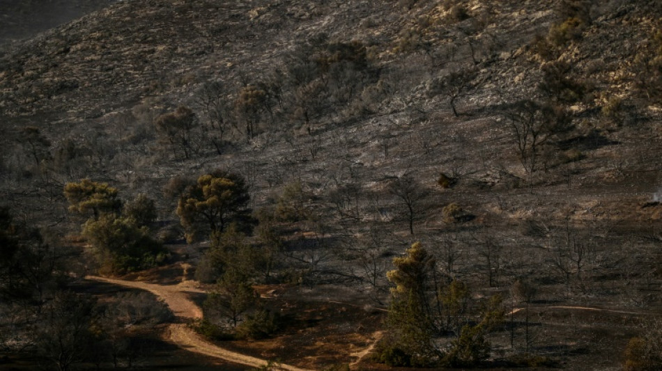 Les Grecs d&eacute;couvrent les d&eacute;g&acirc;ts du feu &agrave; une heure d'Ath&egrave;nes