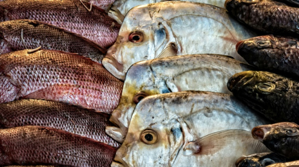 Schwarzarbeit in Fischrestaurant: Paar soll 18.000 Euro Grundsicherung zur&uuml;ckzahlen