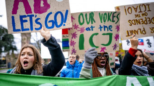 Climat : "immense d&eacute;ception" chez les pays vuln&eacute;rables devant la CIJ