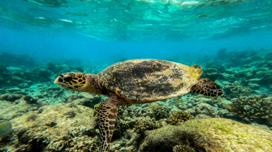 Los oc&eacute;anos sufren el calor de la contaminaci&oacute;n de origen humano