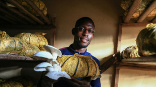 Cameroon's mushroom growers looking beyond the kitchen