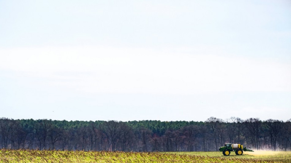 Trump aliviará la cruzada migratoria para dar mano de obra a agricultores y hosteleros