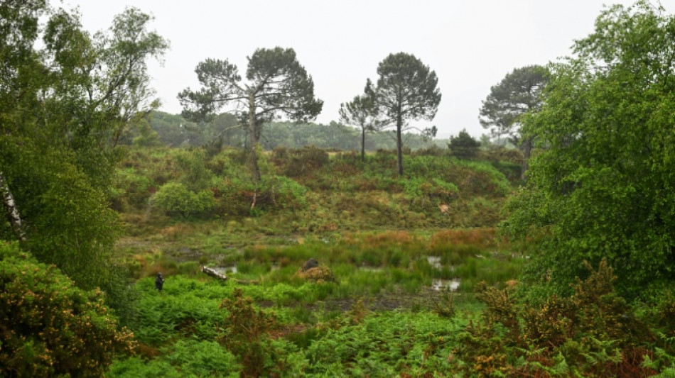 En Irlande, mieux localiser les tourbi&egrave;res pour aider &agrave; r&eacute;duire les &eacute;missions de CO2