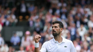 Federer schaut zu: Djokovic k&auml;mpft sich ins Viertelfinale