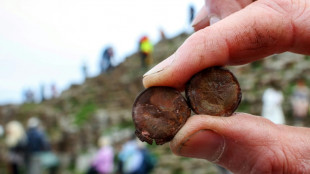 Tourist coins pose giant problem at N. Ireland's famous causeway site