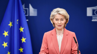 EU wendet Mercosur-Handelsabkommen vorl&auml;ufig an - Kritik aus Frankreich