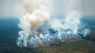 Capital colombiana en "alerta ambiental" por incendio en Amazon&iacute;a del tama&ntilde;o de Par&iacute;s