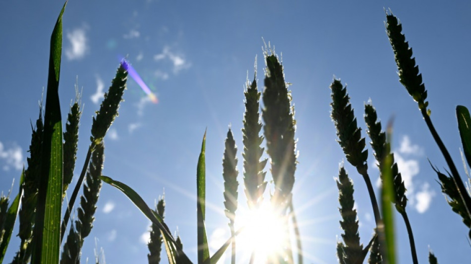 Schulze will bei G7-Treffen globalen Pakt gegen den Hunger beschlie&szlig;en