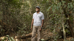 La lucha de 30 a&ntilde;os de un hombre para salvar a los chimpanc&eacute;s hu&eacute;rfanos de Sierra Leona