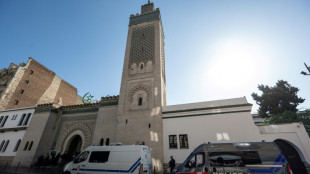 Neun Schweineköpfe vor Moscheen im Großraum Paris gefunden