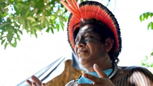 Una nueva fiebre del oro pone en jaque tierras protegidas de la Amazon&iacute;a brasile&ntilde;a