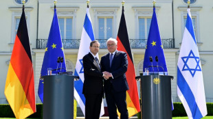 Steinmeier dankt Israel f&uuml;r "Geschenk" der Freundschaft - Herzog zu Besuch in Berlin