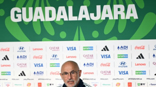 T&eacute;cnico da Espanha destaca 'qualidade tremenda' da Copa do Mundo de 2026