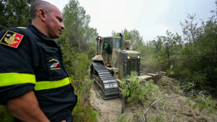 Sur l'incendie de l'Aude, la S&eacute;curit&eacute; civile "ouvre la voie" aux pompiers