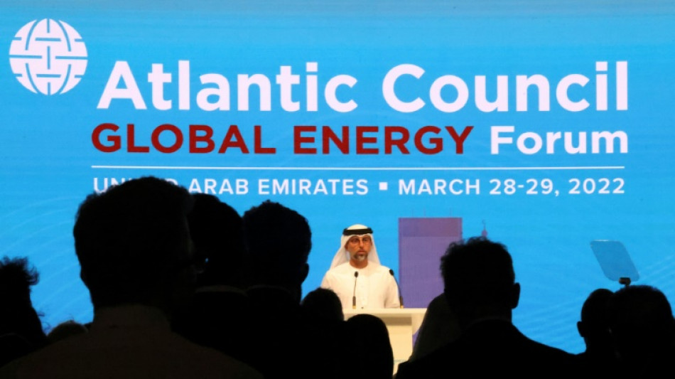 UAE reaffirms OPEC+ commitment, says West must be 'reasonable' 